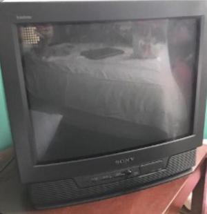 Vendo televisor 29