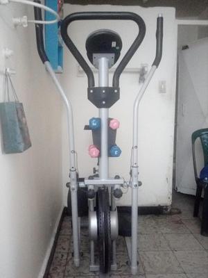 Eliptica evolution fitness