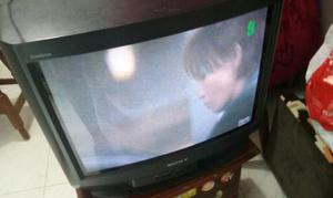 Tv Sony 21