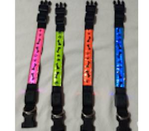 COLLARES LED PARA PERROS