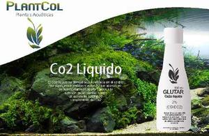 Glutaraldehido 2% Anti Algas Co2 Liquido Acuarios