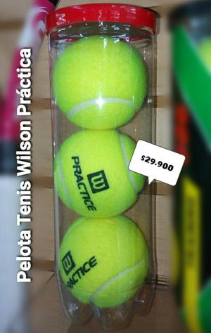 Pelotas para Tenis Wilson Practica X3