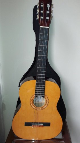 Guitarra Acústica Eko Cs-12 Serial 