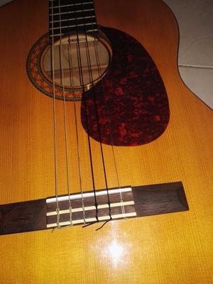 Guitarra C40