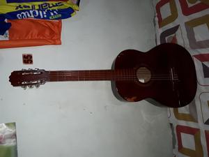 Guitarra acstica