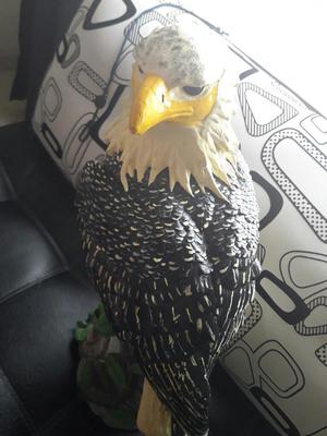 Hermosa Águila en Cerámica