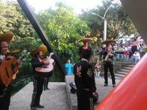 Mariachi Alteñosde Mexico Medellin