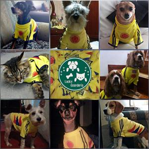 Camisetas para Perros Del Mundial