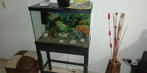 Se Vende Acuario