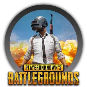 Playerunknowns Battlegrounds Pc Digital