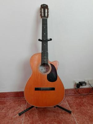 Guitarra Acustica Robinson Cruz Original