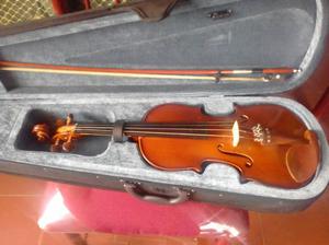 Se vende violín 4/4 en excelentes condiciones.