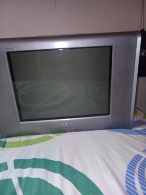 Televisor