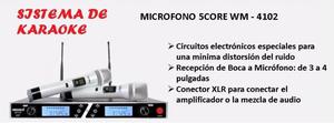 Karaoke Sistema de 2 Micrófonos 5core wm
