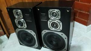 Parlantes Pioneer