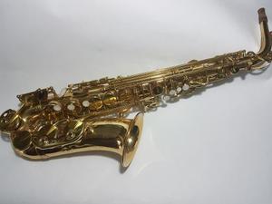 Saxofón Alto De Práctica Marca Prelude