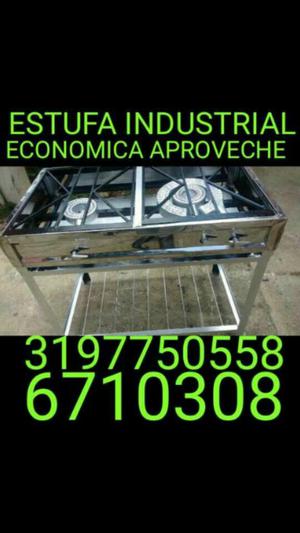 Estufa Industrial de 2 Puesto