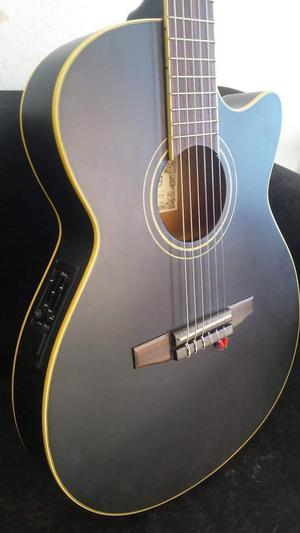 Guitarra Eléctro Acústica Ibanez Aeg6