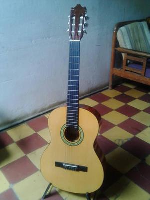 Guitarra Ibañez
