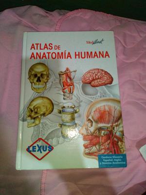Vendo Libro de Anatomia Humana