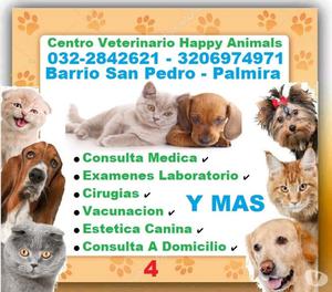 ⭐ Palmira, CENTRO VETERINARIO, HAPPY ANIMALS, Perros,