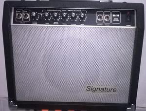 Amplificador de guitarra Signature GA30