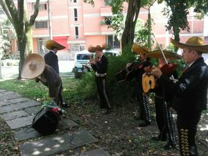 Mariachis Medellin Alteños