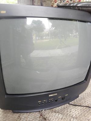 Televisor Samsung de 21 Pulgadas