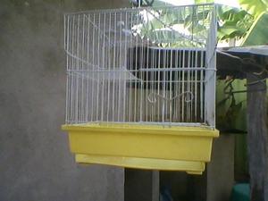 jaula PARA HAMSTER