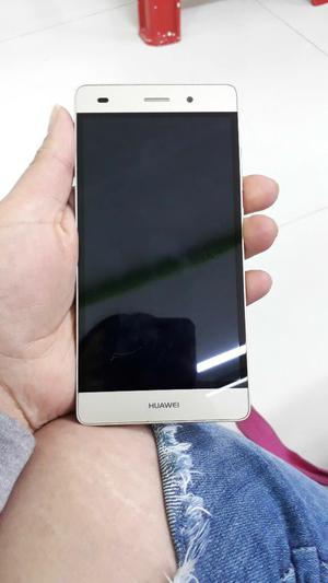 P8lite