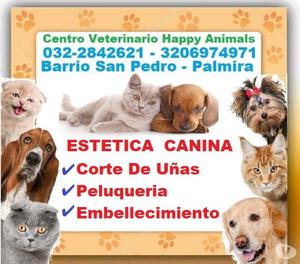 ⭐ Veterinario Palmira, Veterinaria, HAPPY ANIMALS,