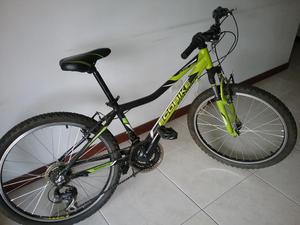 Bicicleta Ecobike