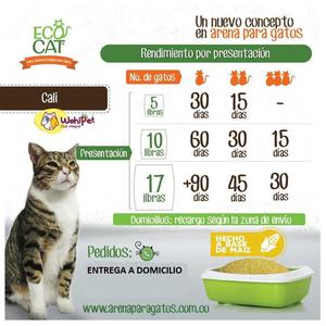 Arena para gatos Cama sanitaria Biodegradable para gatitos