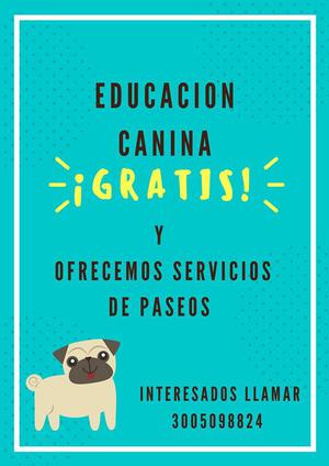 Educacion Canina Gratuita y paseos Santa Marta