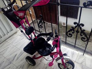 Triciclo Paseador