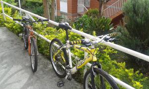 Gangazo 2 bicicletas por el precio de una, disfrutar en