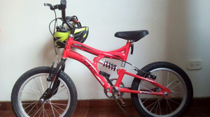 Bicicleta GW Dione 8.4 niño