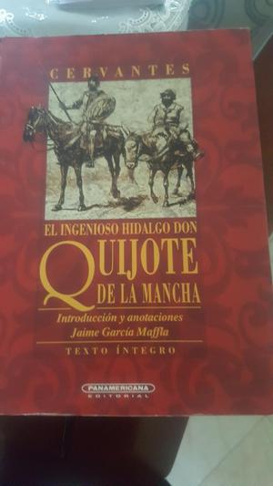 Libros Quijote de La Mancha Edi Panamericana, Libro La Hebra