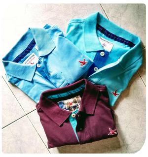 POLOS LAGUNA