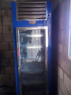Congelador Vertcal Industrial