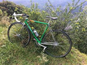 Bicicleta Duarte