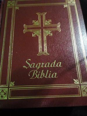 HERMOSA BIBLIA DE LUJO ILUSTRADA GUADALUPANA GRANDE