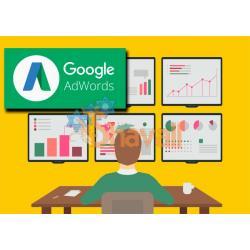 Vídeo Curso Profesional de Google AdWords De Cero a