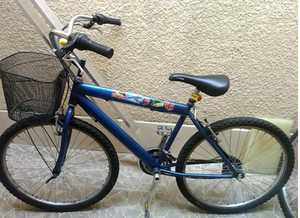 bicicleta rin 26