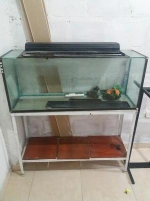 Acuario Usado