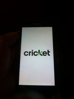 Alcatel Cricket