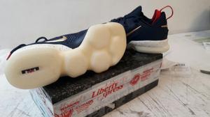Nike Lebron 14 Low Talla 10.5 original