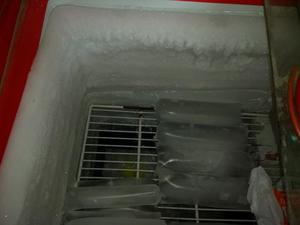 Vendo Congelador Perfecto Estado 9 de 10