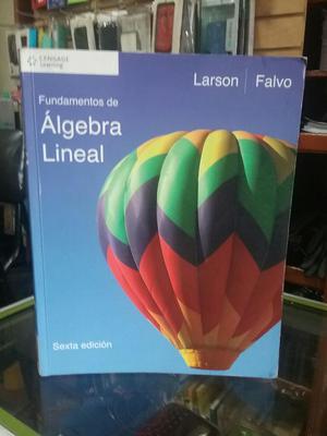 Algebra Lineal Larson
