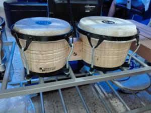 Bongos Nuevos